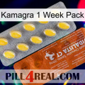 Kamagra 1 Week Pack 42